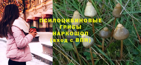 прущая мука Арсеньев